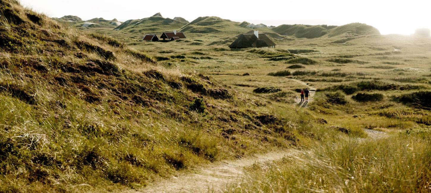 Foto af naturområde i Skagen med sommerhuse